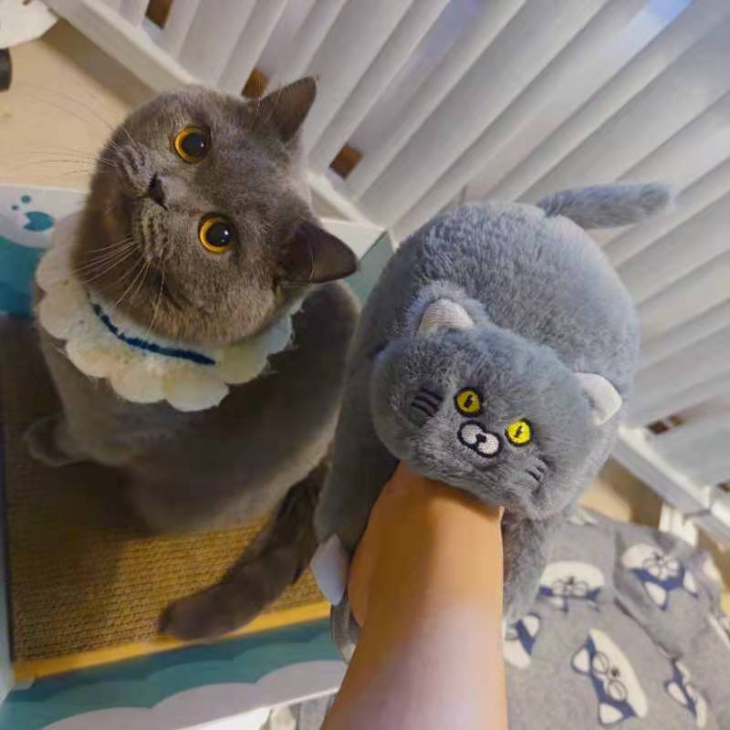 Chaussons câlins pour chat