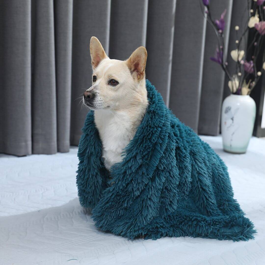 My Furry Friend™ - Anxiety Relieving Fluffy Pet Blanket