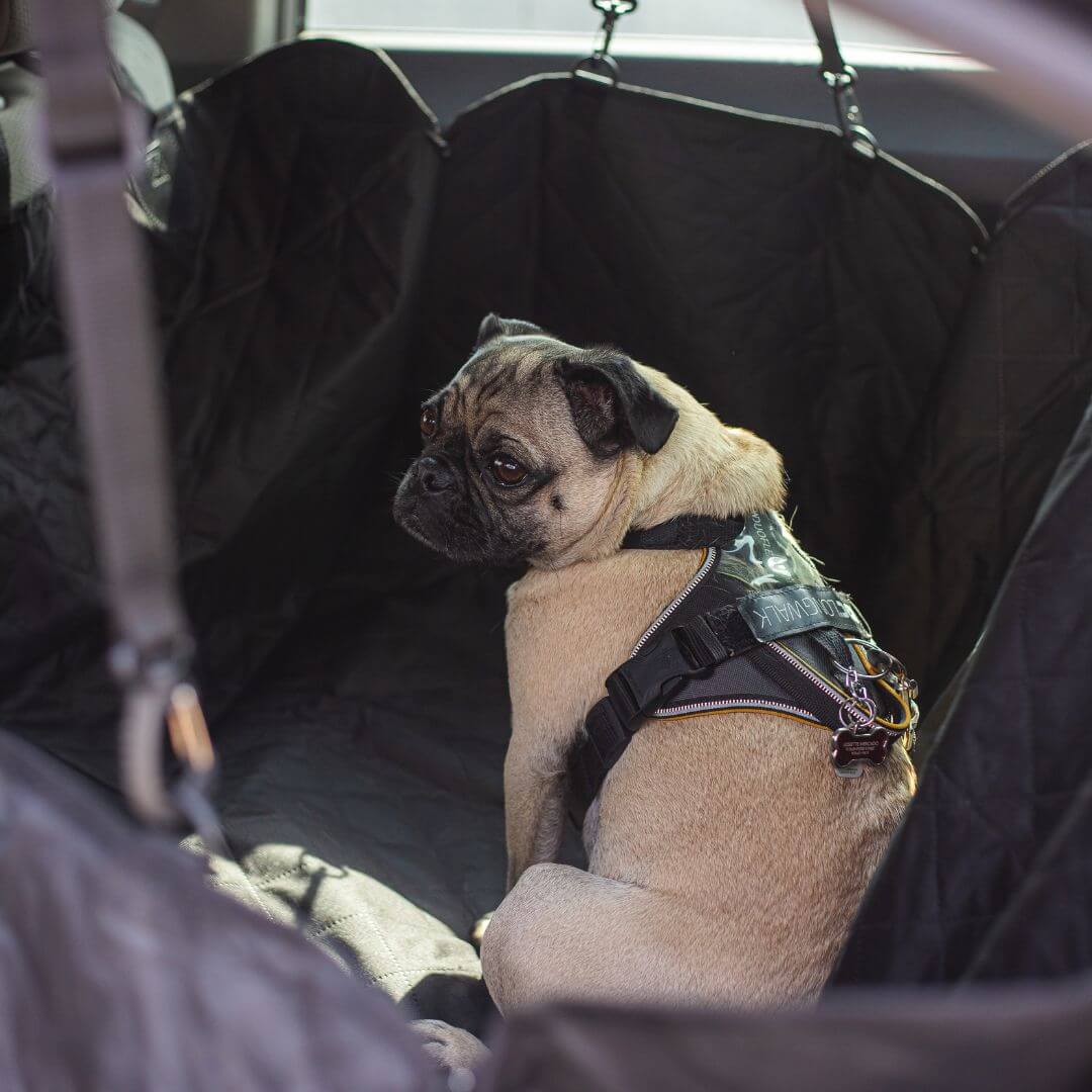 My Furry Friend™ - Car Seat Cover for Dogs