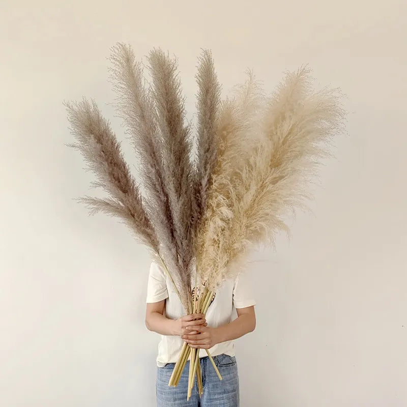 BohoBliss - Dried Pampas Grass