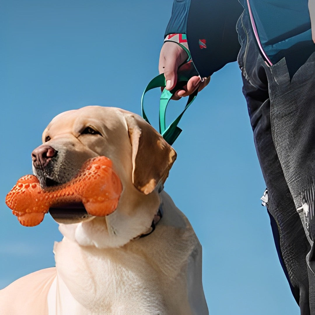 Rubber Bone with Toothbrush