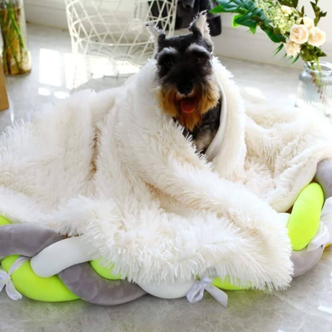 My Furry Friend™ - Anxiety Relieving Fluffy Pet Blanket