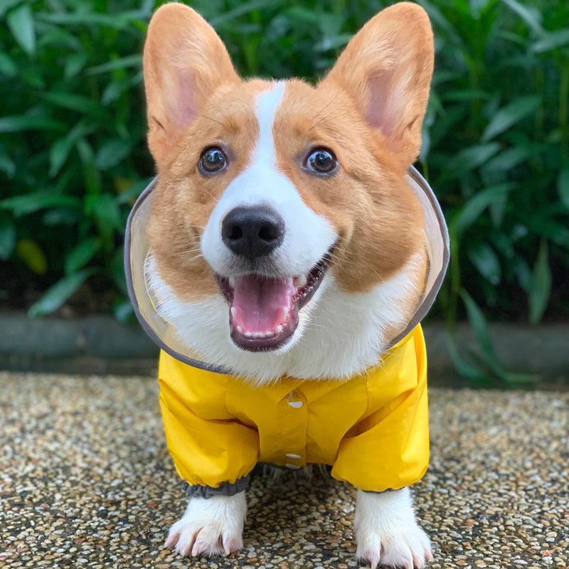 Chubasquero para mascotas de cuatro patas a prueba de charcos