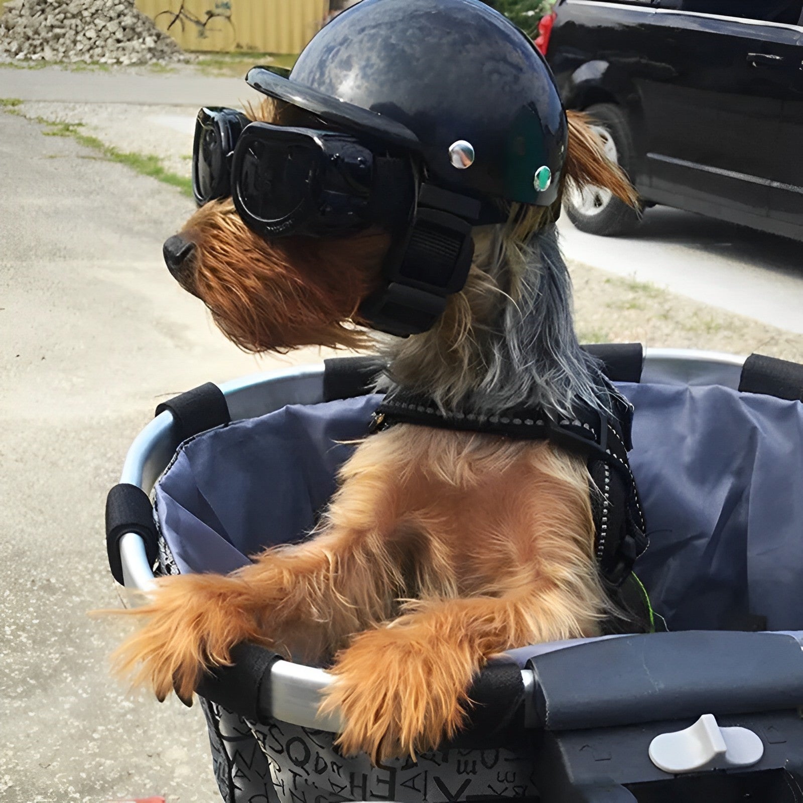 Motorradhelm und Schutzbrille für Hunde | Trendy und sicher