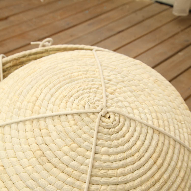 Whisker Wicker: Straw Cat Hammock Nest