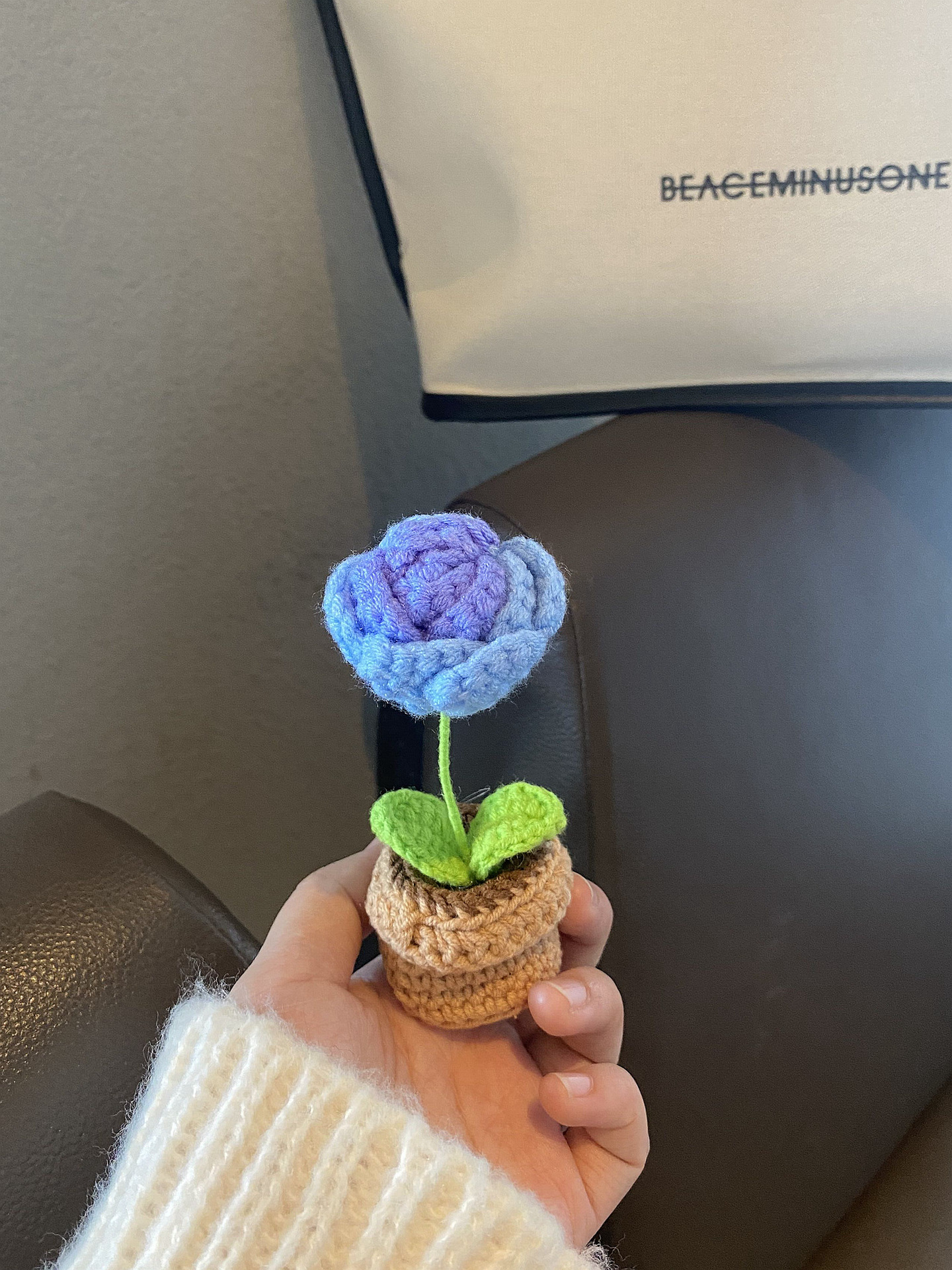 Handmade Crochet Flower Pot Decor