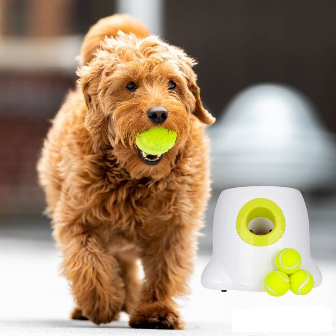 My Furry Friend™ - Astro Launcher für Hunde