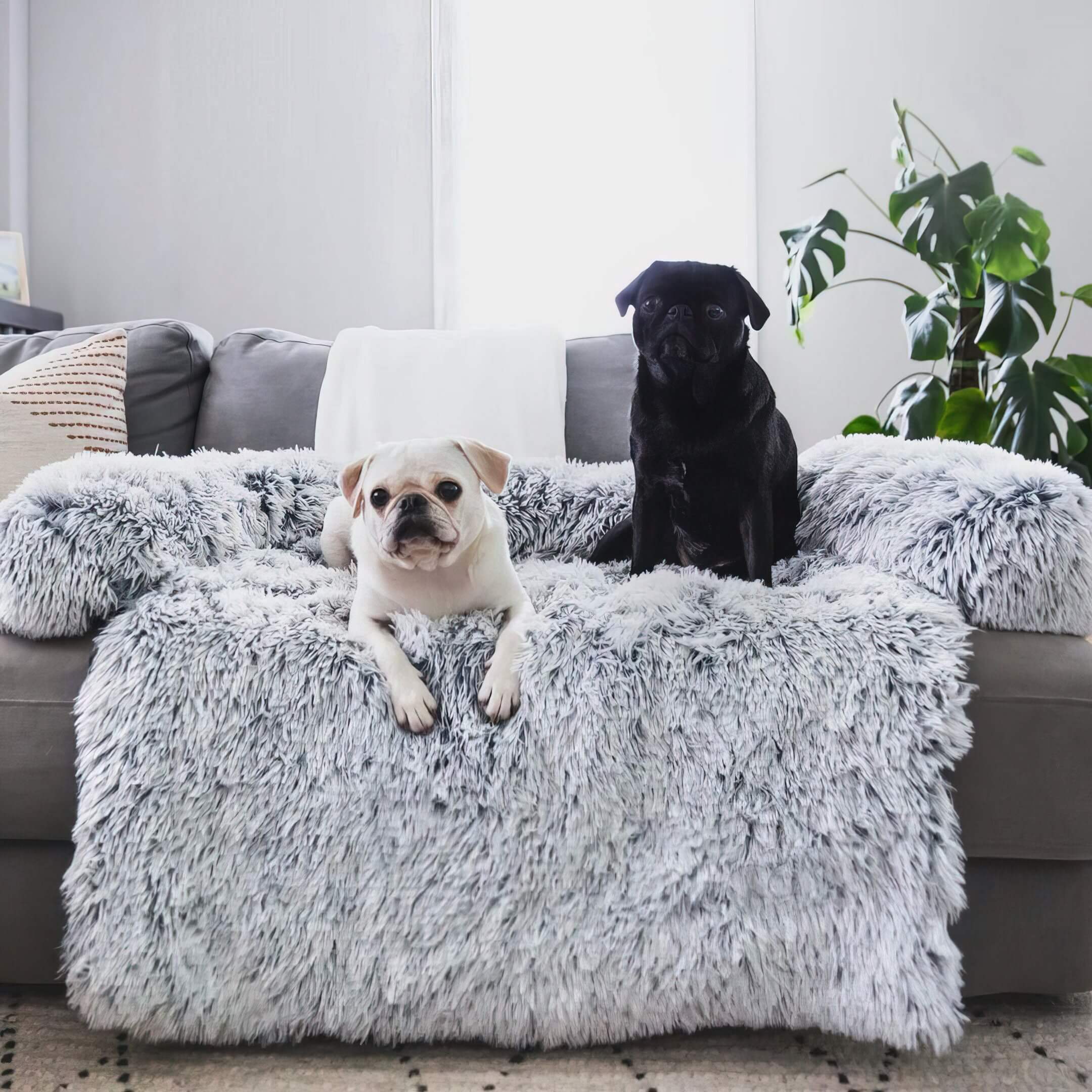 My Furry Friend™ - Furry Couch Cover for Dogs and Cats