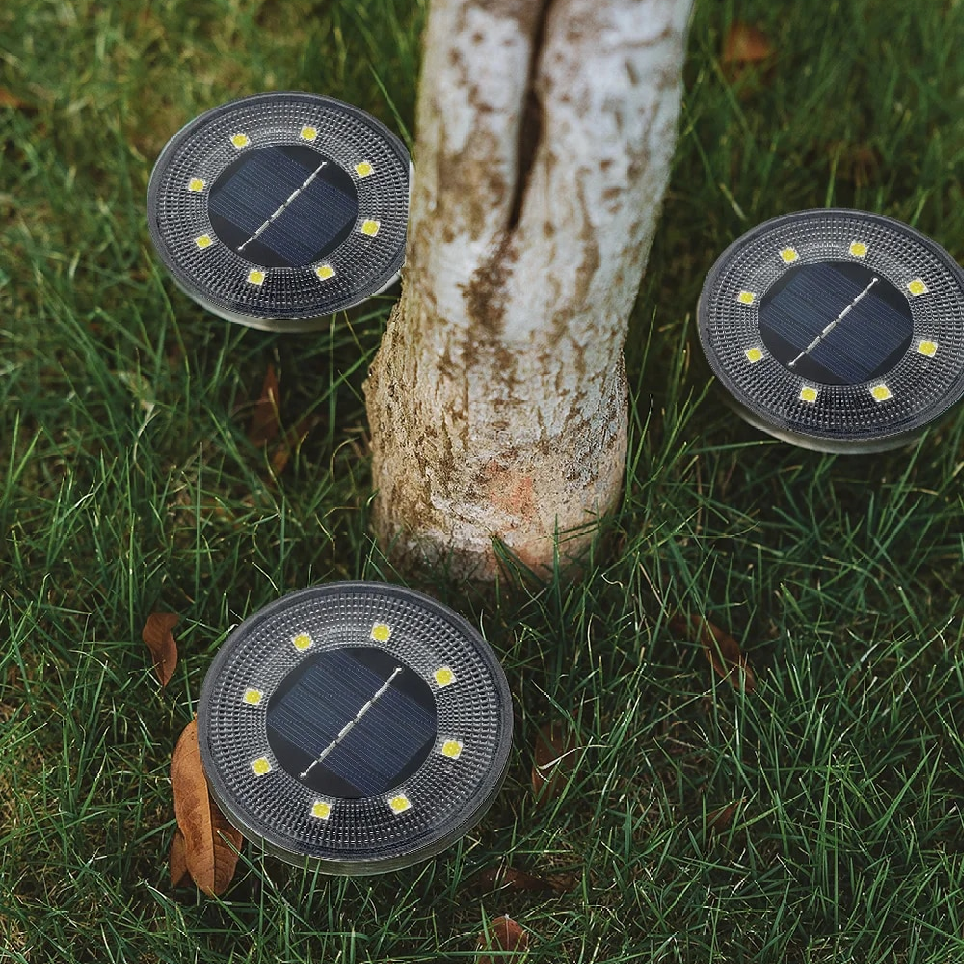 Sconeys™ | Luces impermeables alimentadas por energía solar