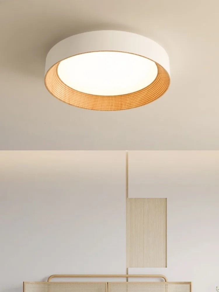 Minimal Luxe Ceiling Light