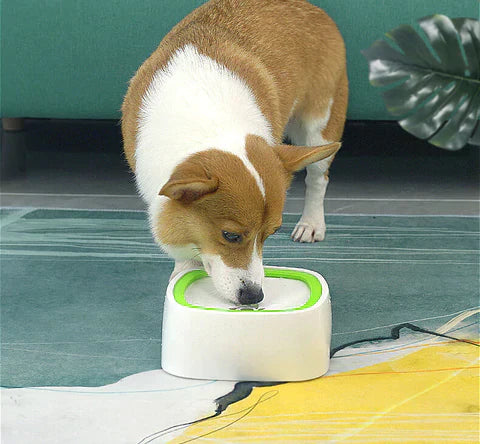 My Furry Friend™ - Hygiënische waterdispenser