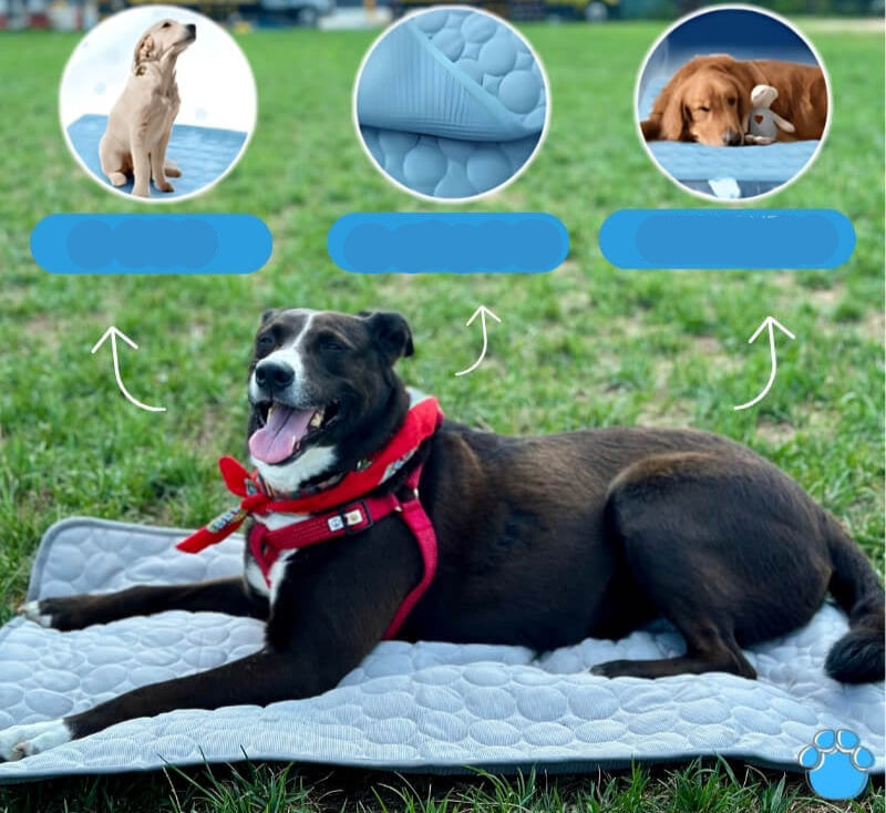 My Furry Friend™ - Ultimate Cooling Mat for Pets