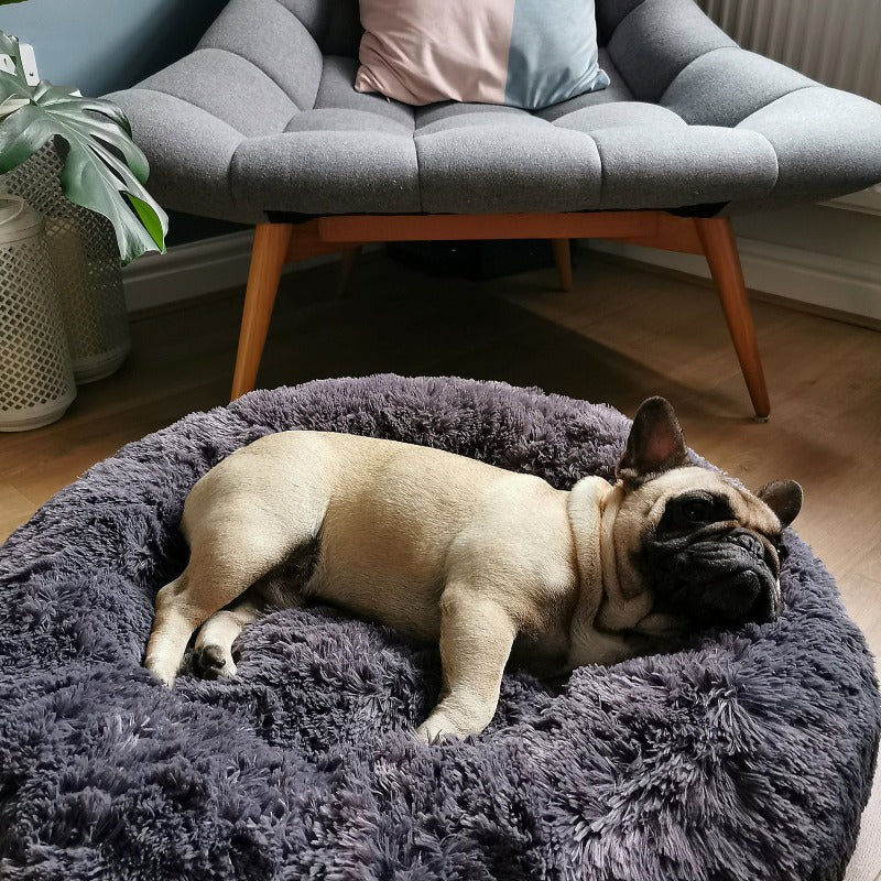 Round Plush Calming Donut Dog Bed for Small to Large Dogs