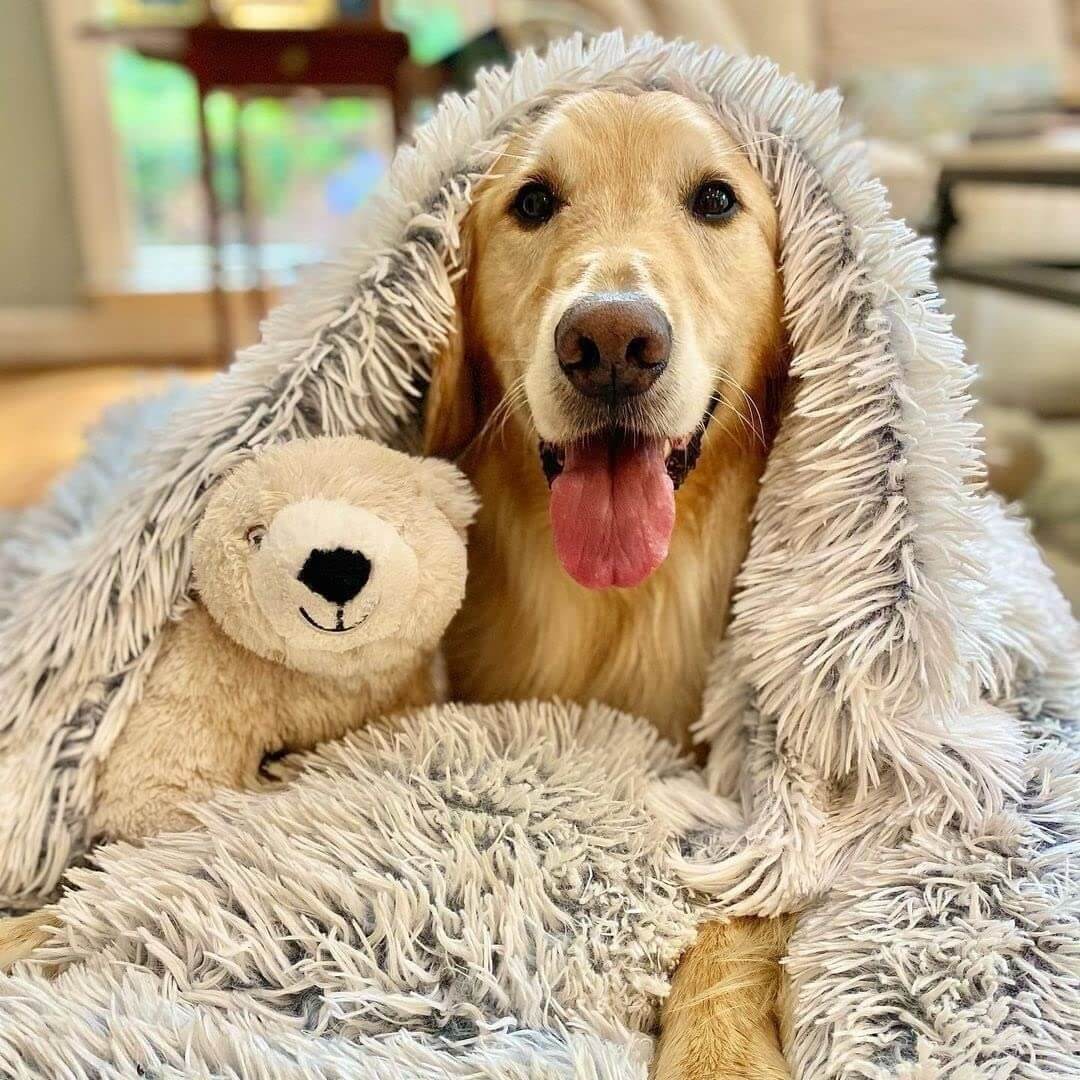 My Furry Friend™ - Anxiety Relieving Fluffy Pet Blanket