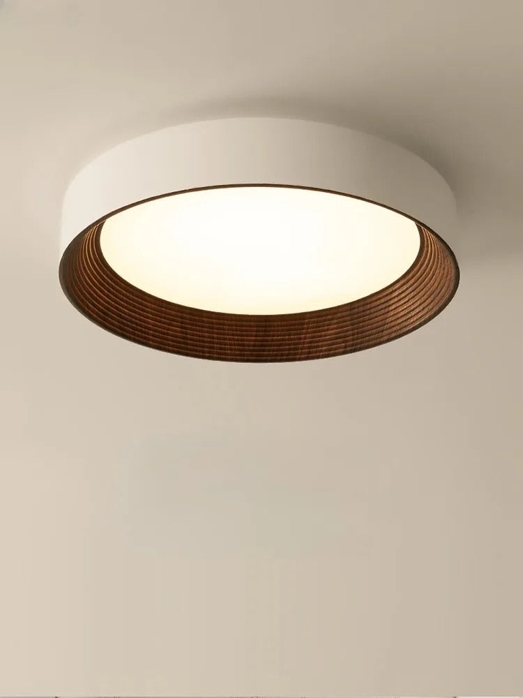 Minimal Luxe Ceiling Light