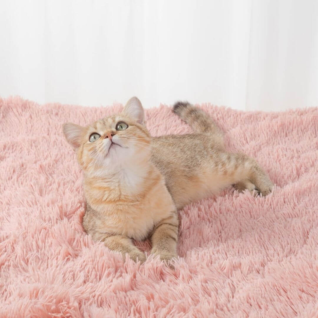 My Furry Friend™ - Anxiety Relieving Fluffy Pet Blanket