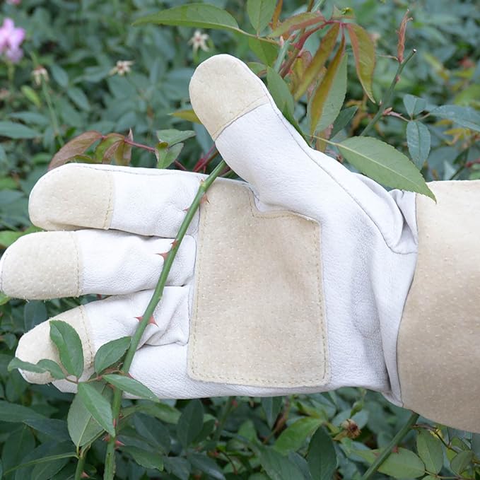 Gants de protection des bras