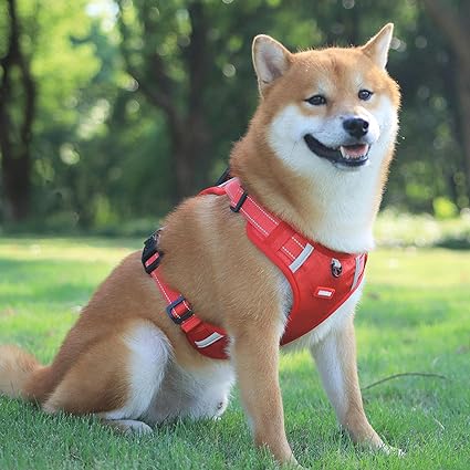 🐕 Pettorina per cani sicura e confortevole