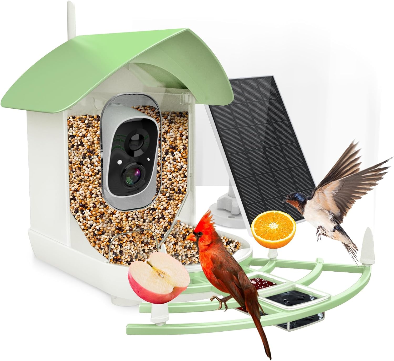 Smart Bird Feeder Camera con Riconoscimento AI e Visione Notturna