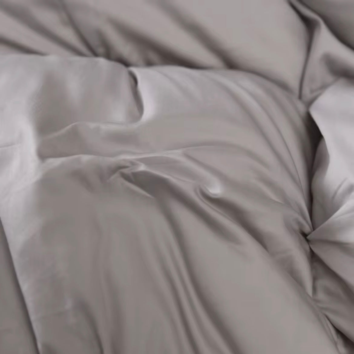 Splendore Grey Goose Down Comforter