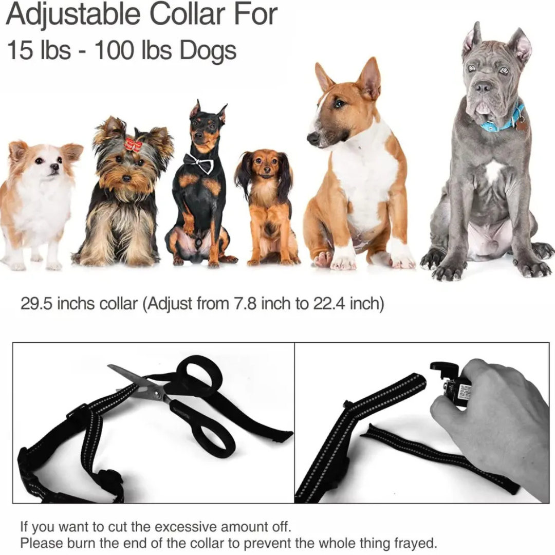 Smart Dog Training Collar with Remote - Automatic Anti-Bark, 3 Training Modes, Waterproof