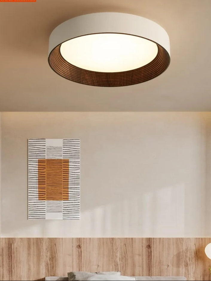 Minimal Luxe Ceiling Light