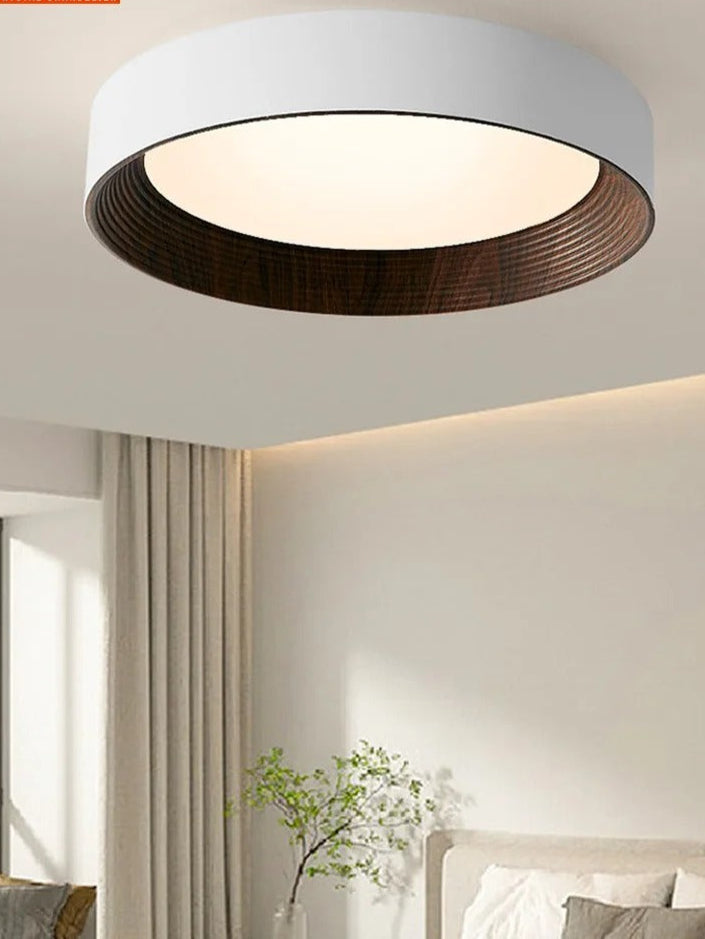 Minimal Luxe Ceiling Light