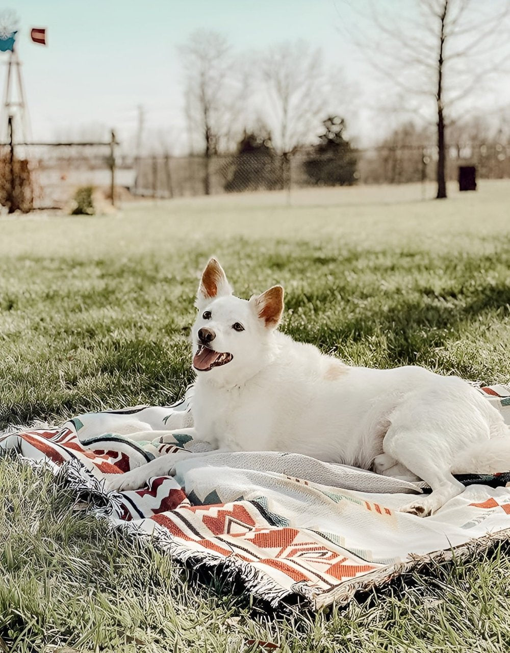 Covor de picnic Bohemian Chic