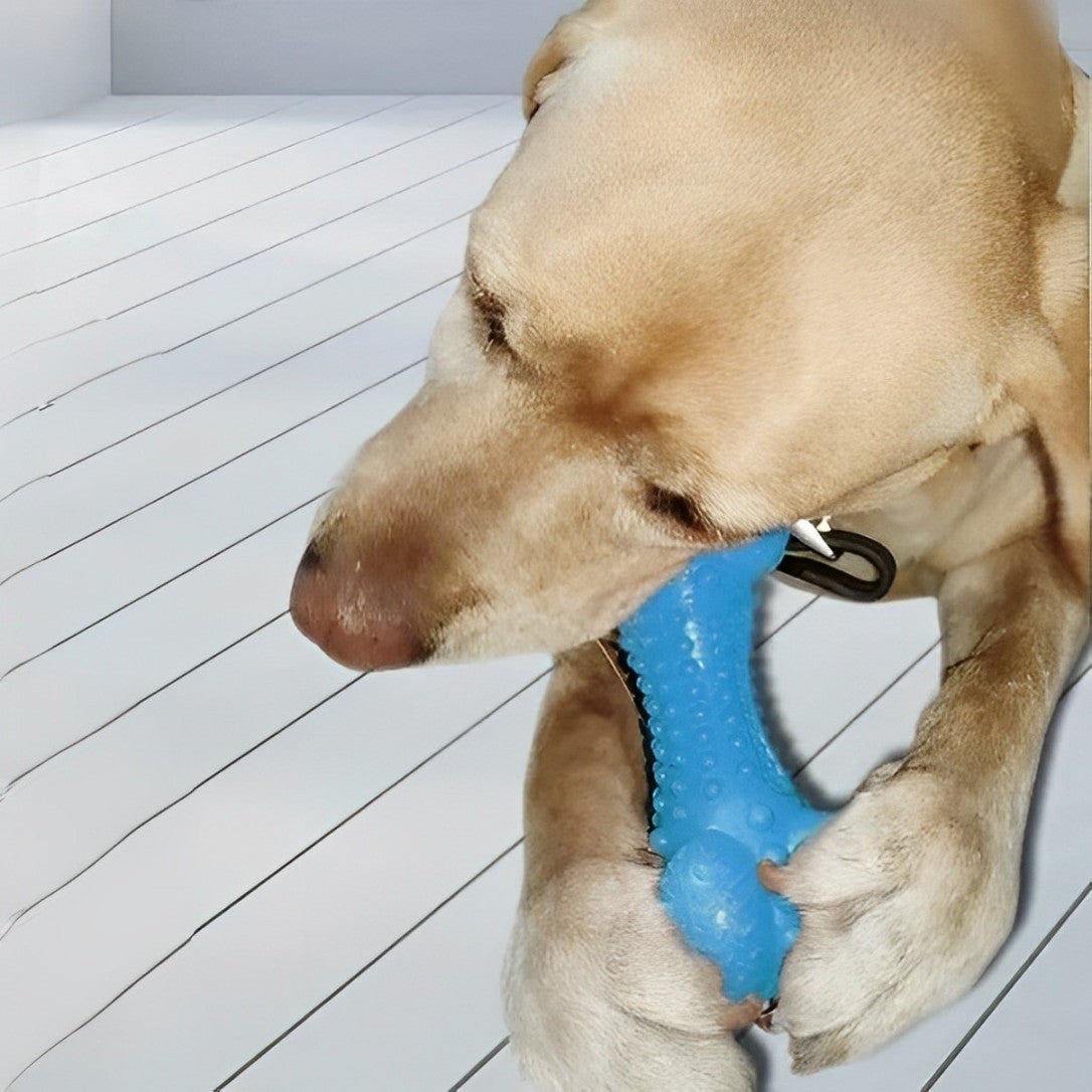 Hueso de goma con cepillo de dientes