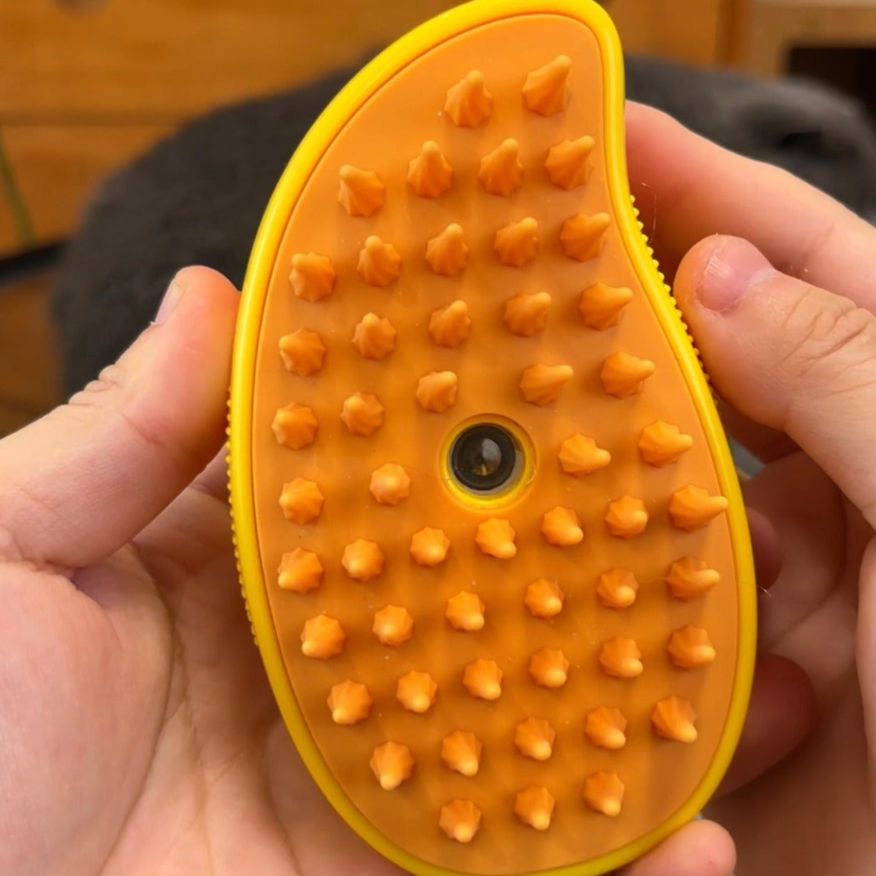 Brosse à vapeur pour chien