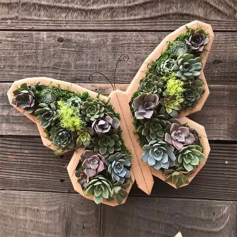 Animal Succulent Garden Arrangement