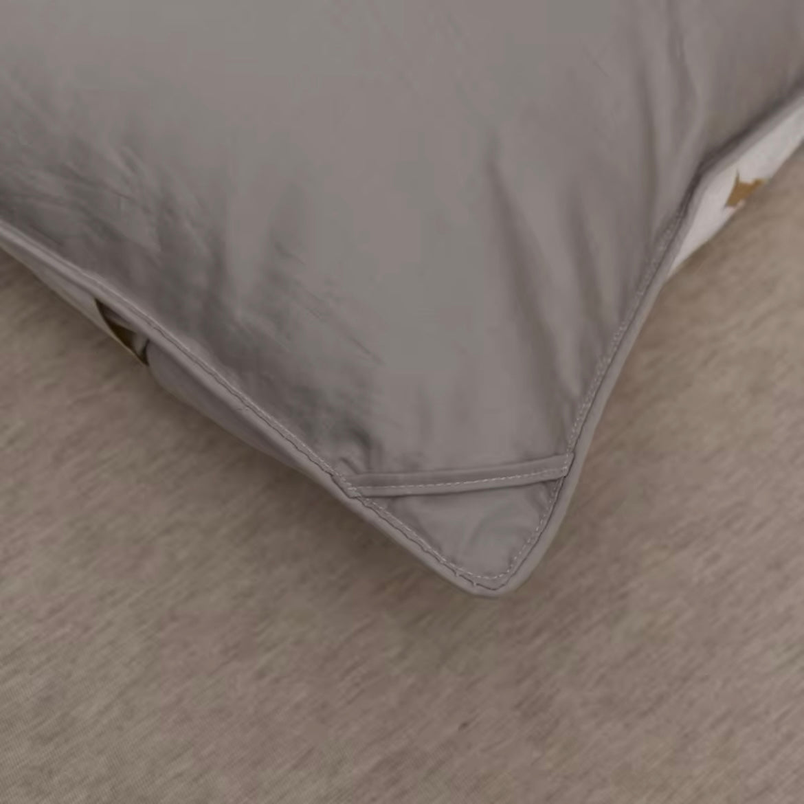 Splendore Grey Goose Down Comforter