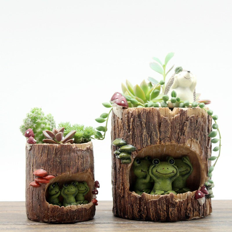 Charmante jardinière pour plantes succulentes