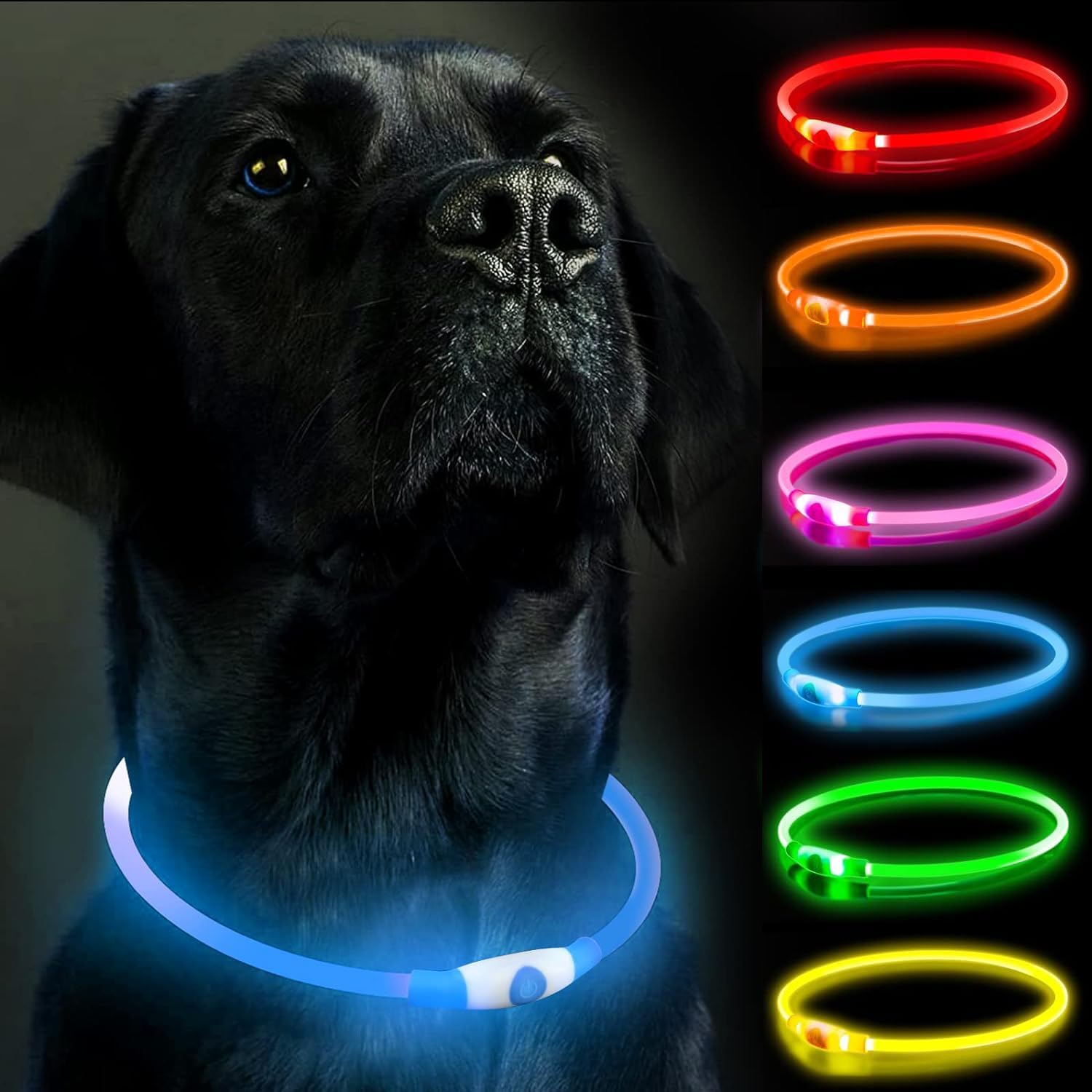 Coleira LED para Cães, Coleiras para Cães, Recarregável Brilhante para Passeios Noturnos