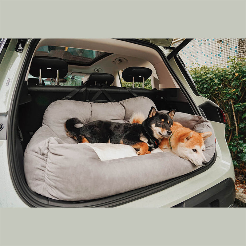 Comfort Car Bed Overlegen sikkerhed til mellemstore hunde