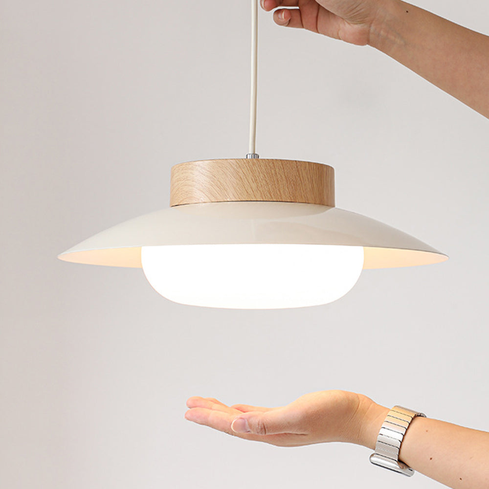 RiceLume - Rice Bowl Hanging Lamp