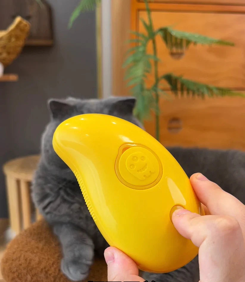 Cat Steamy Brush