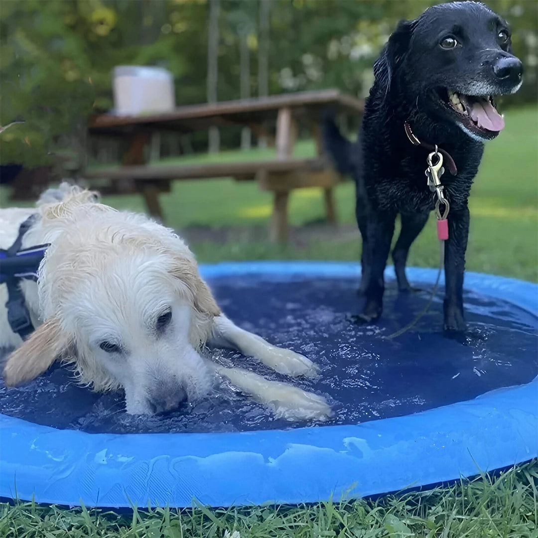 Pawss™ Zomer Splash Pad