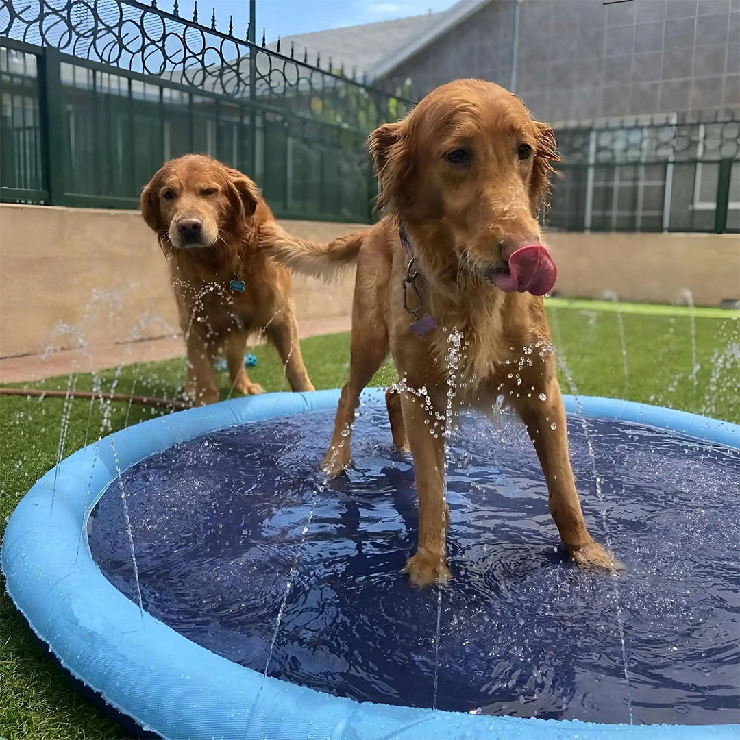 Pawss™ Sommar Splash Pad