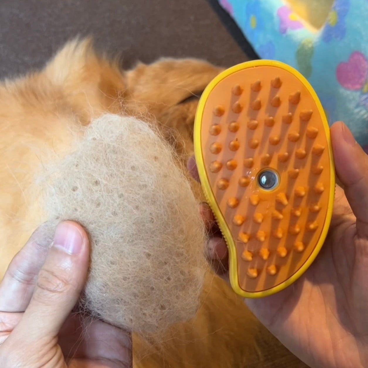 Brosse à vapeur pour chien