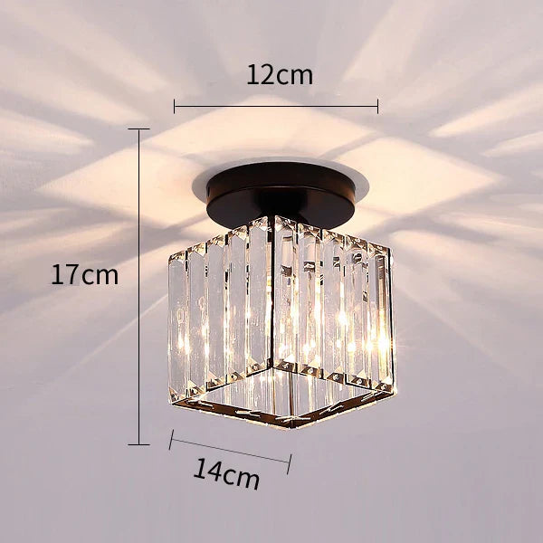 Robbie Crystal Ceiling Light