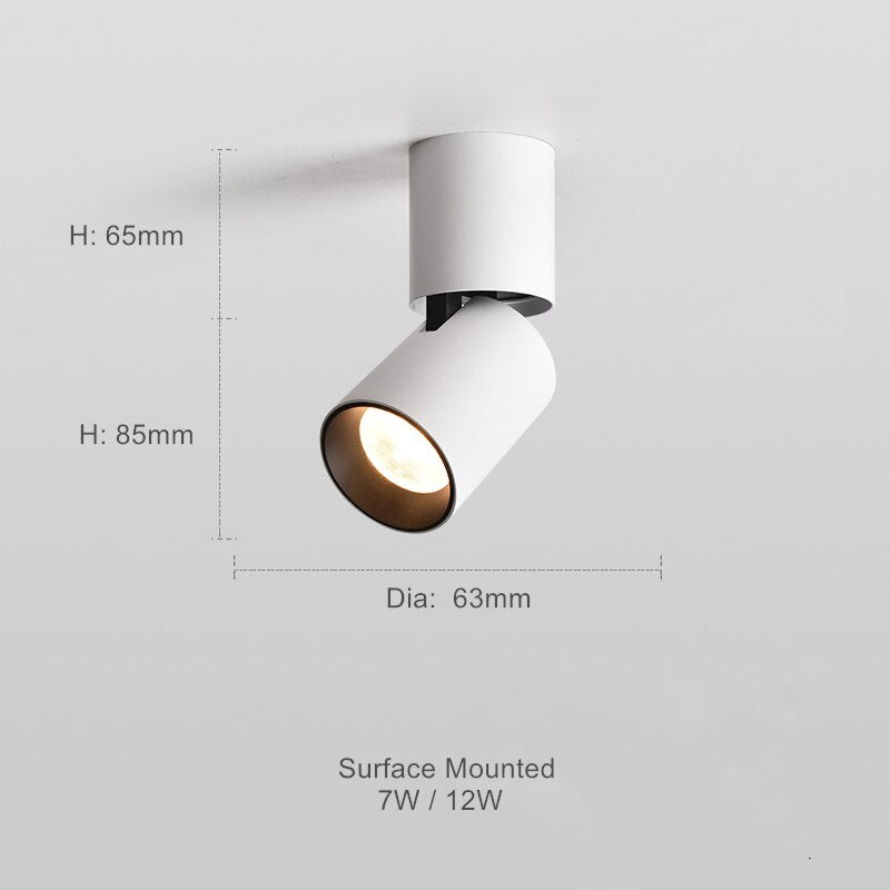 Verstelbare ronde opbouwdownlight