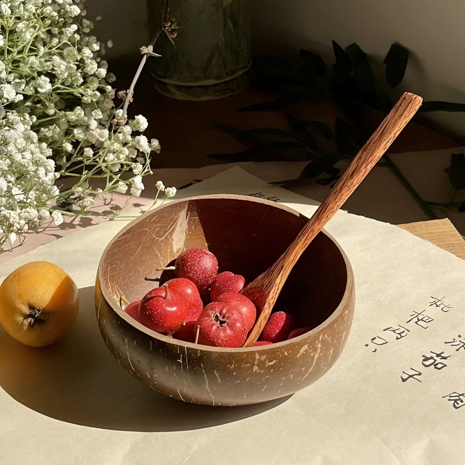 Natural Coconut Bowl Dinnerware Set