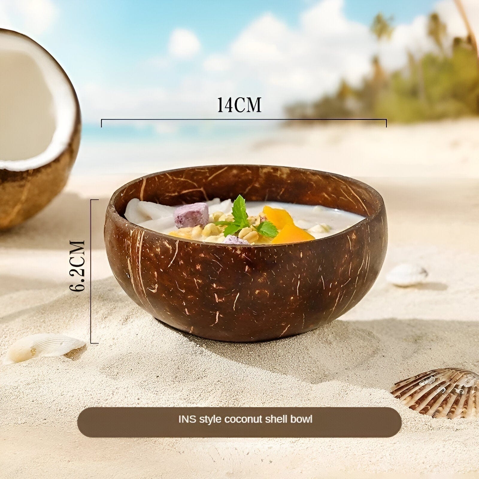 Natural Coconut Bowl Dinnerware Set