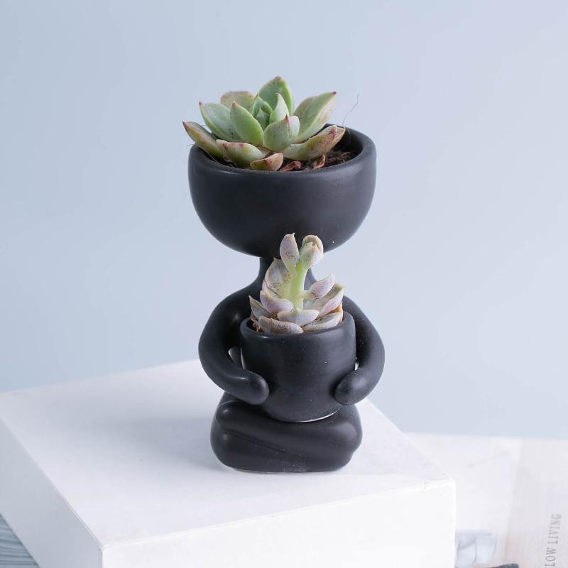 Petit pot de fleurs en céramique pour plantes succulentes