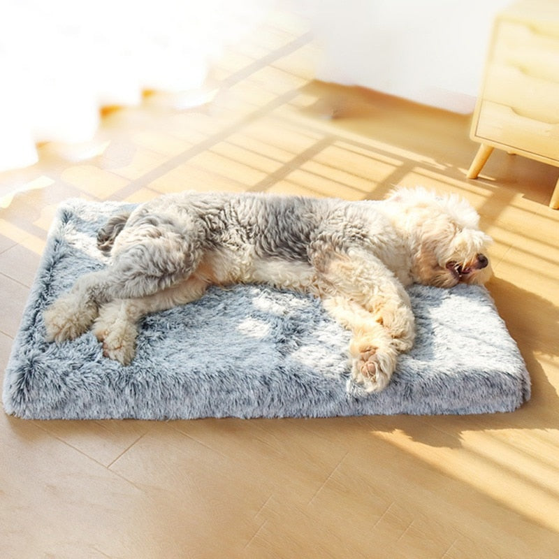 Plys Ortopædisk Memory Foam Hundemadras