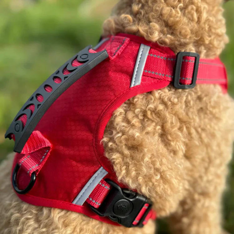 🐕Safe and Comfortable Dog harness