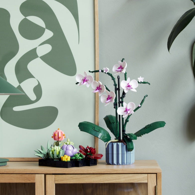 Botanical Collection Decor