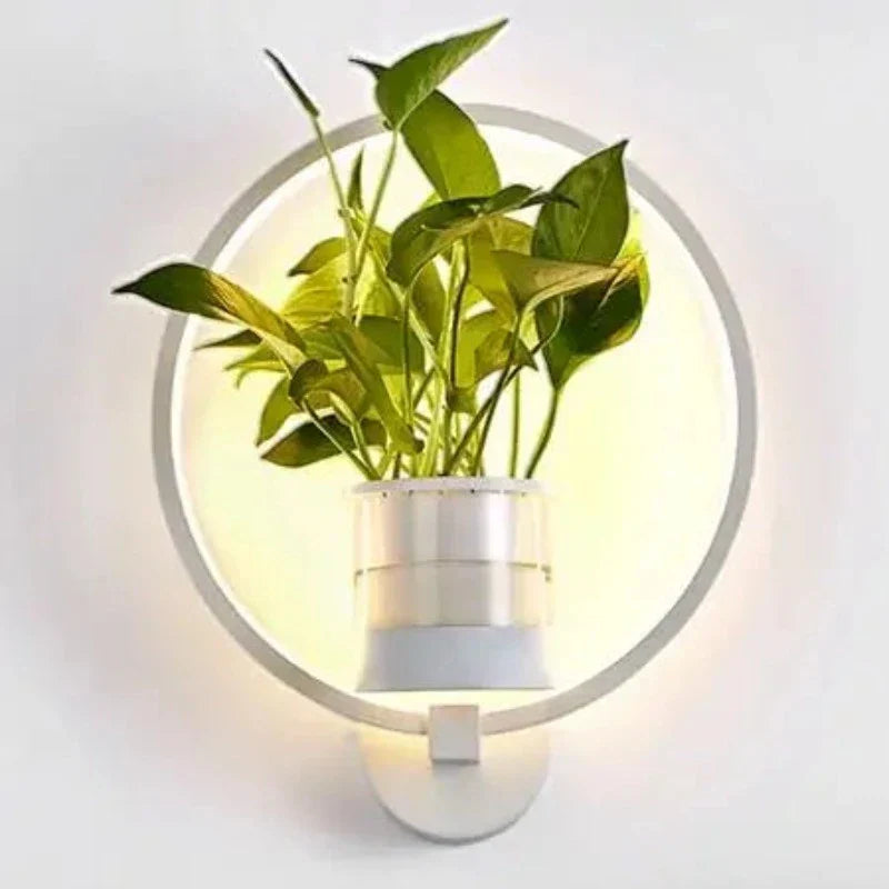 LuminaireSconce - Wall lamp plant