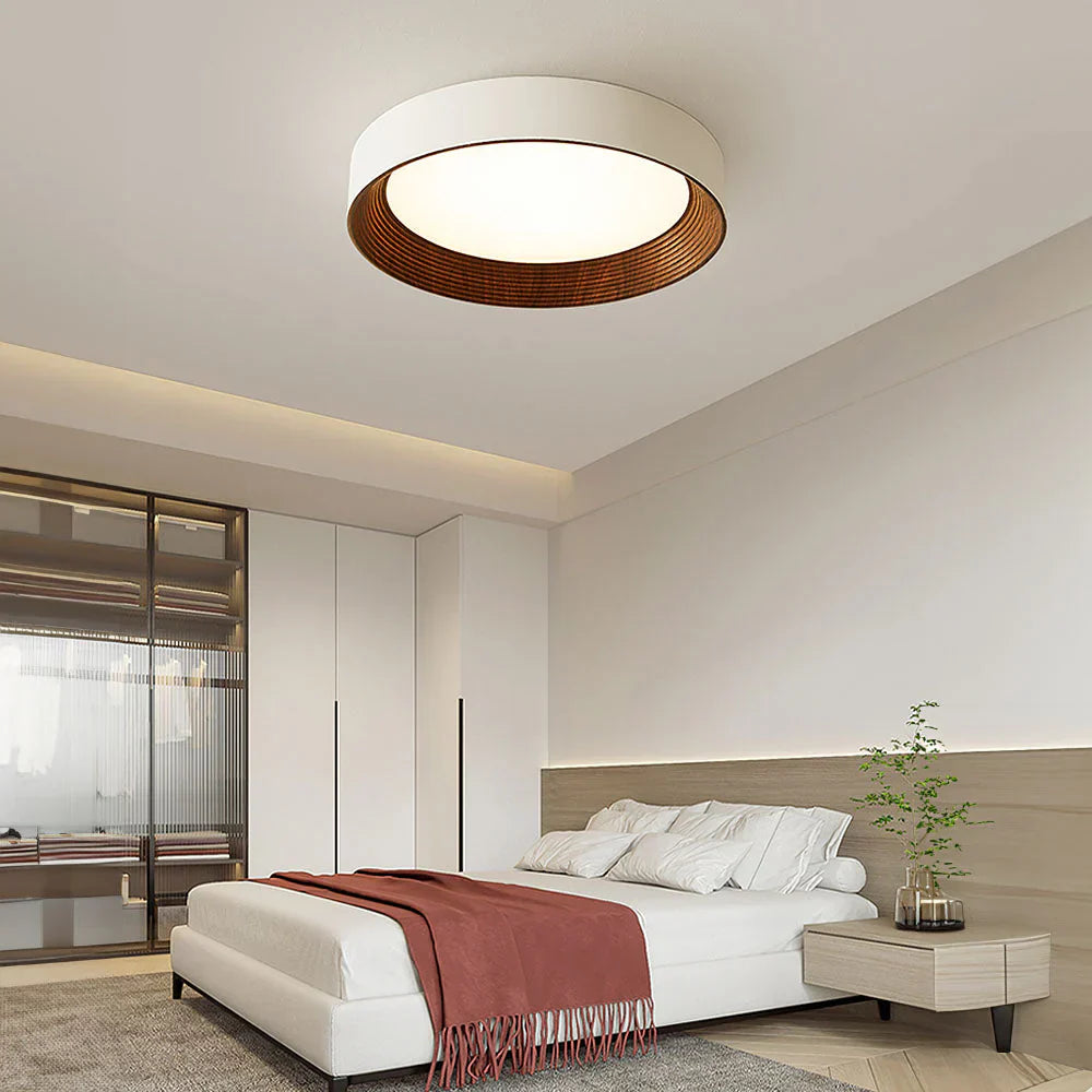 Minimal Luxe Ceiling Light